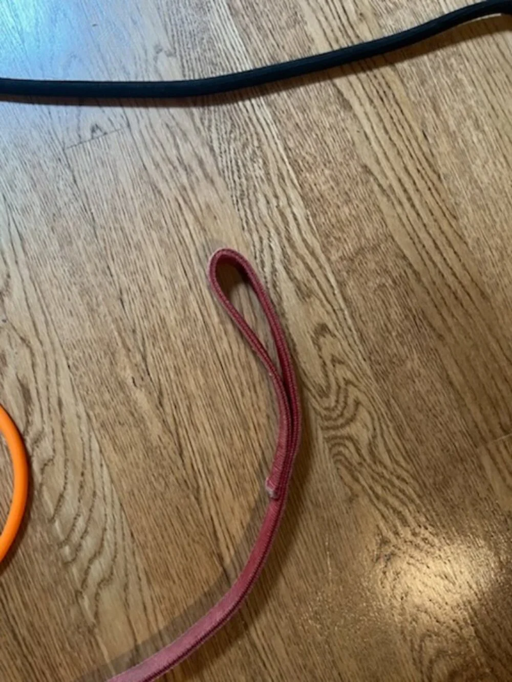 Dog Leashes plus light collar